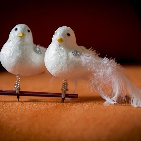 فيلا Two White Pigeons إبير الغرفة الصورة