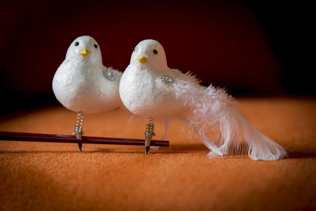 فيلا Two White Pigeons إبير الغرفة الصورة